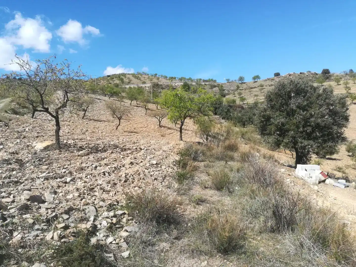 Terreno en venta en Tahal