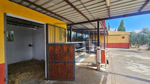 Foto 4 de Finca rústica en venda a Lebrija, Sevilla