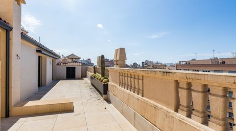 EDIFICO PALMA CENTRO CALIDADES PREMIUN DE 2500 M2  APROX  LOCALES  6 PLANTAS 18 UNIDADES 20 PARKINGS, immagine 2