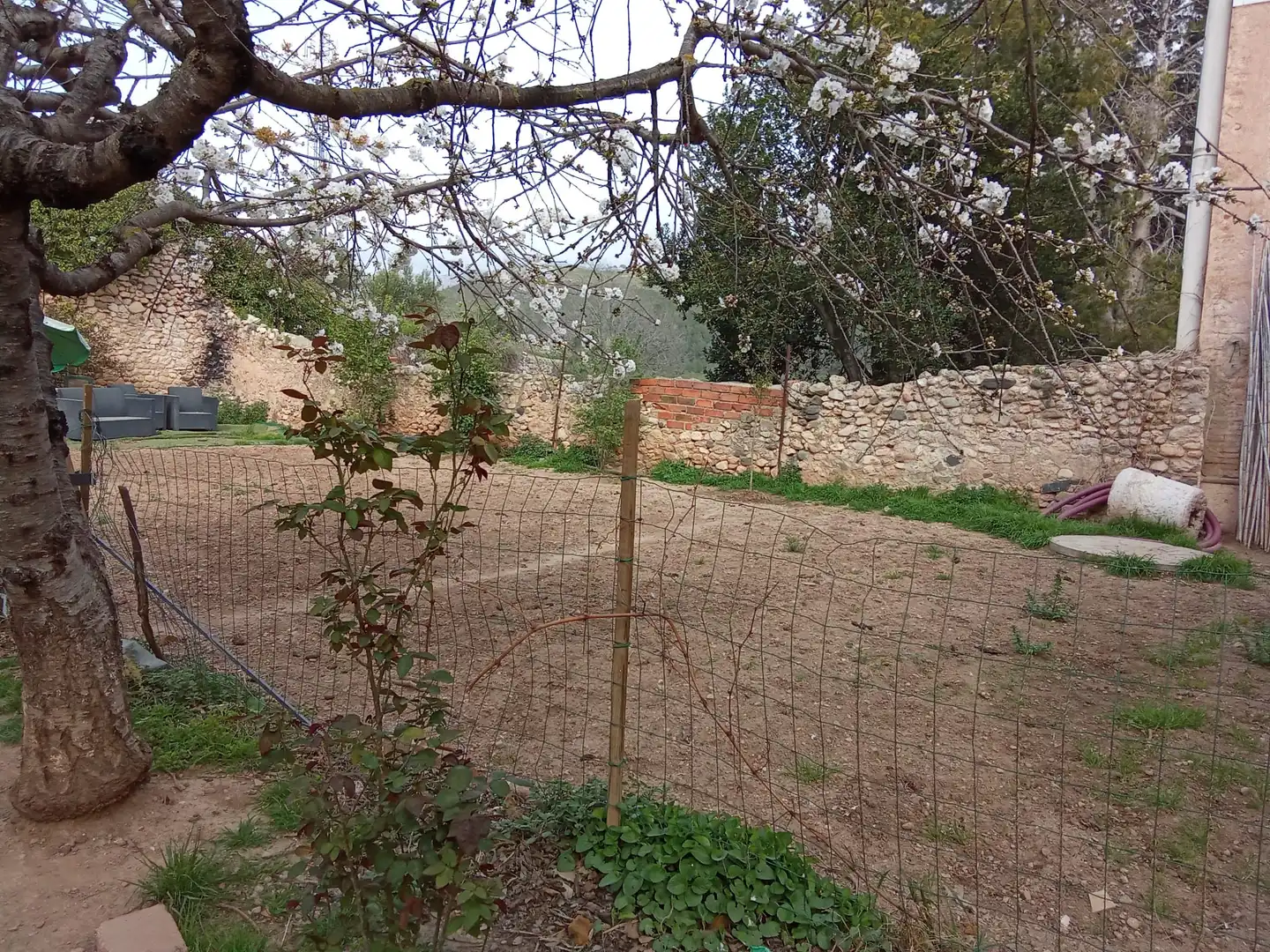Terreny rústic en venda a Vilaverd, imagen 4