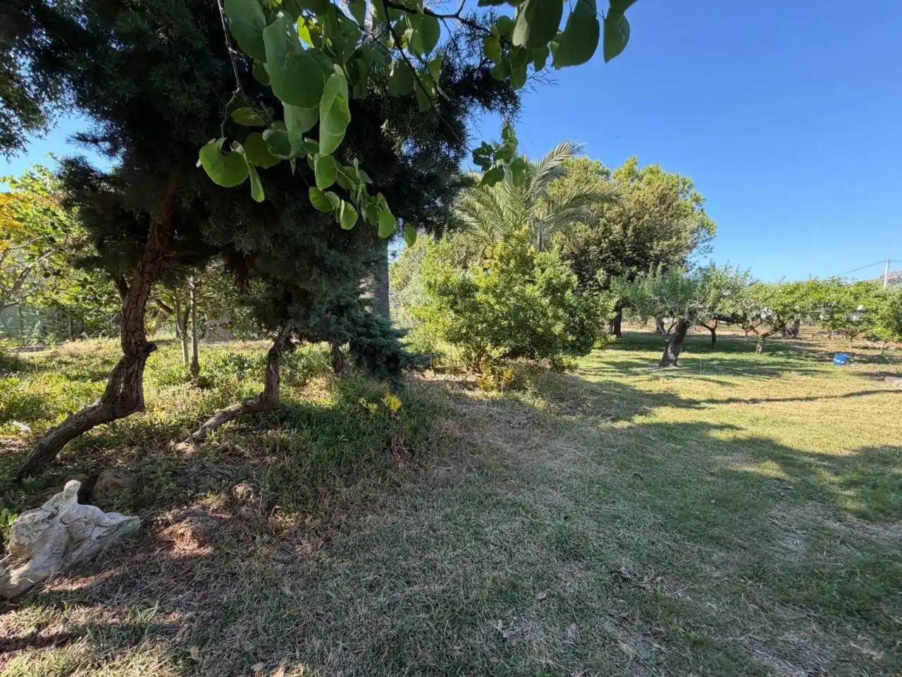Chalet con piscina en venta en Camino Assut, imagen 46
