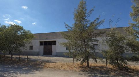 Foto 3 de Terreny en venda a C. Berlín, Estación de Cártama, Cártama