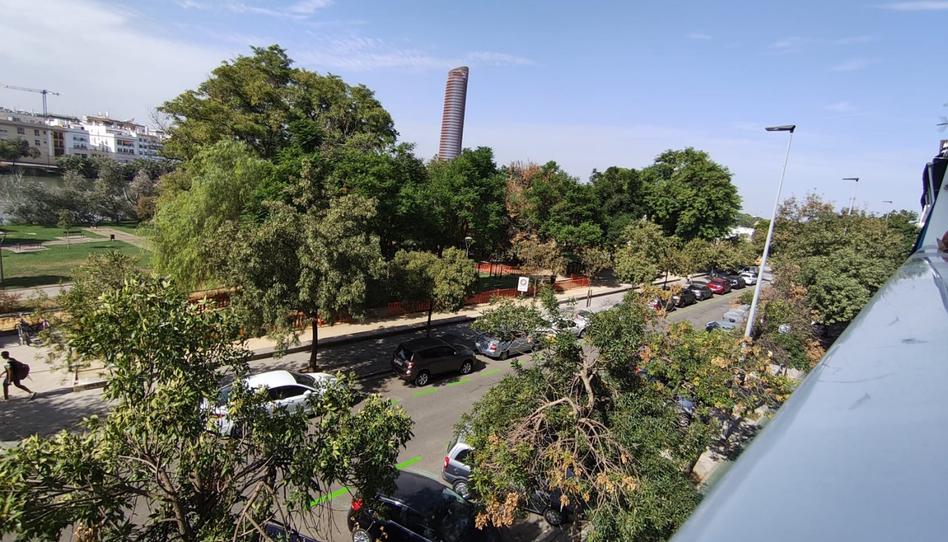 Photo 1 of Flat for sale in Arenal - Museo, Sevilla