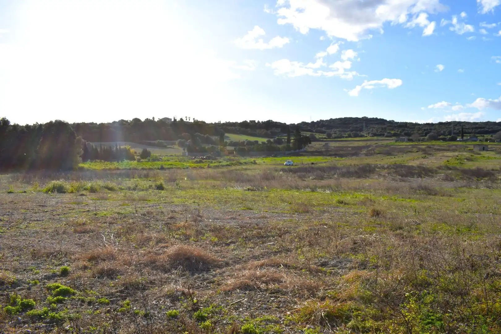 Residential land for sale in Muro, imagen 7