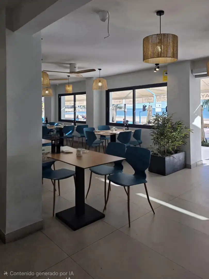 Commercial properties for sale in Playa Muchavista