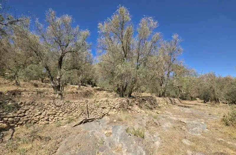 Terreno rustico in vendita a El Pinar, imagen 28