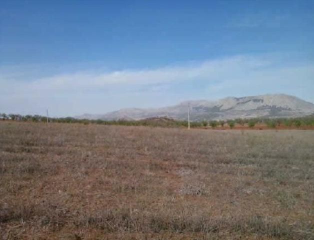 Land for sale in Vélez-Rubio