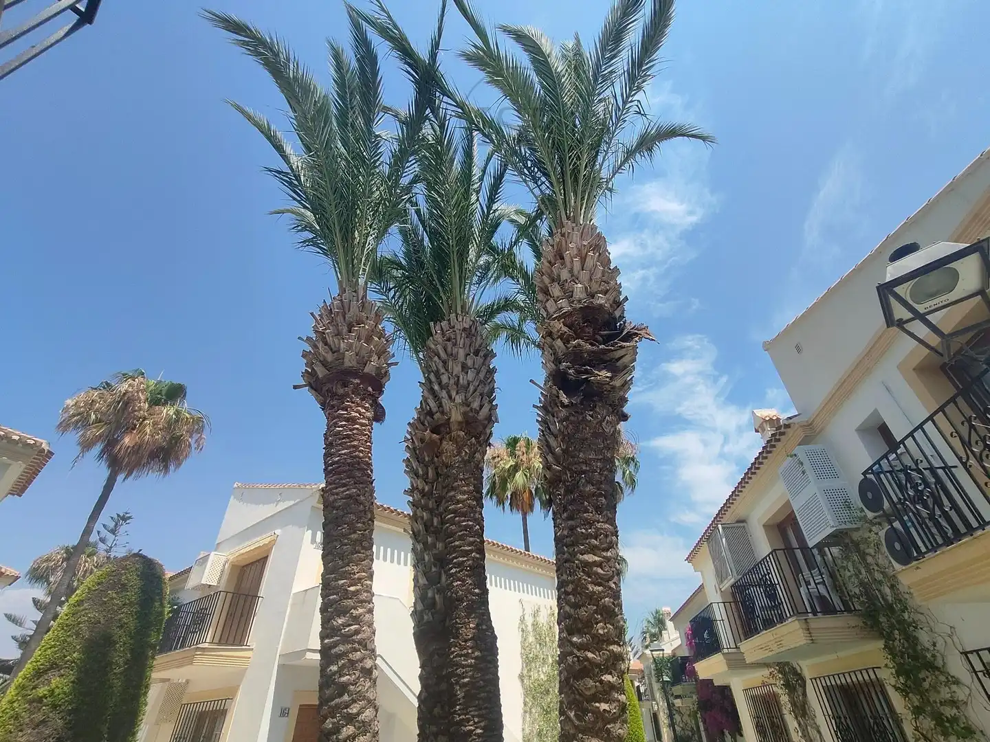 Vista exterior de Apartamento en venta en Vera con Aire acondicionado, Calefacción y Terraza