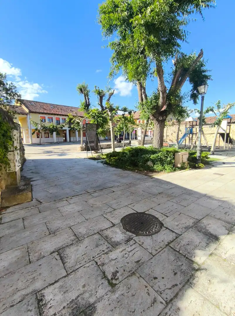 Vista exterior de Casa o chalet en venta en Torremocha de Jarama con Calefacción, Jardín privado y Trastero