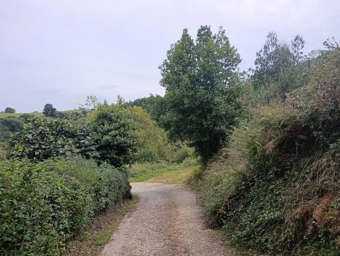 Rustikales Grundstück zum Verkauf in Carretera Piñera (Noriega) 0, imagen 48