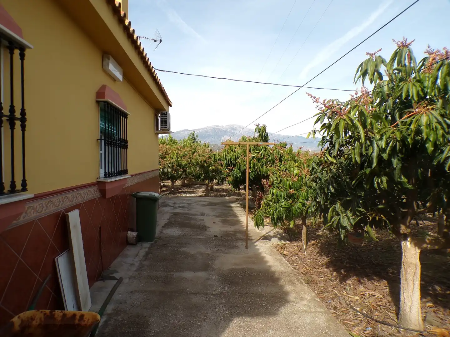 Garden of Houses for sale in Almáchar  with Air Conditioner, Private garden and Furnished