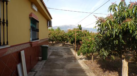 Photo 3 of House or chalet for sale in Almáchar, Málaga