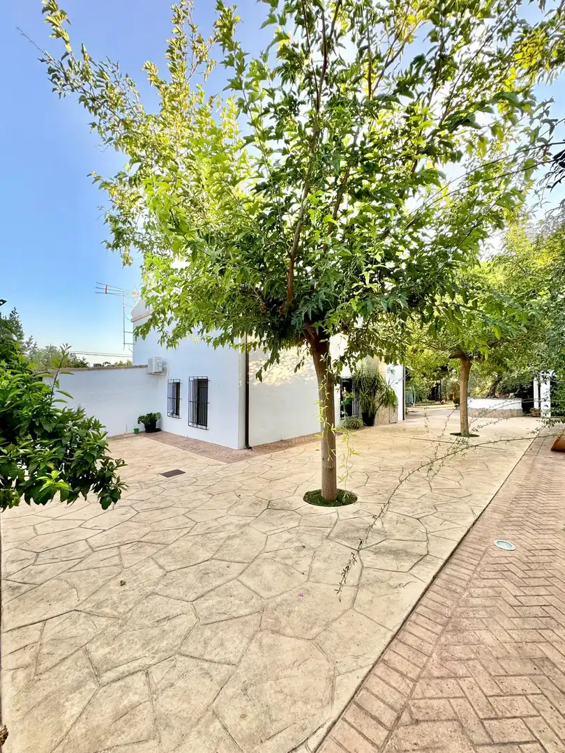 Maison à vendre à Ctra. Circunvalación - La Magdalena, imagen 2