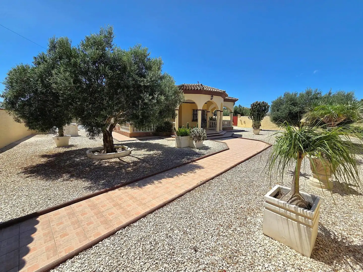 Vista exterior de Casa o xalet en venda en Chiclana de la Frontera amb Jardí privat