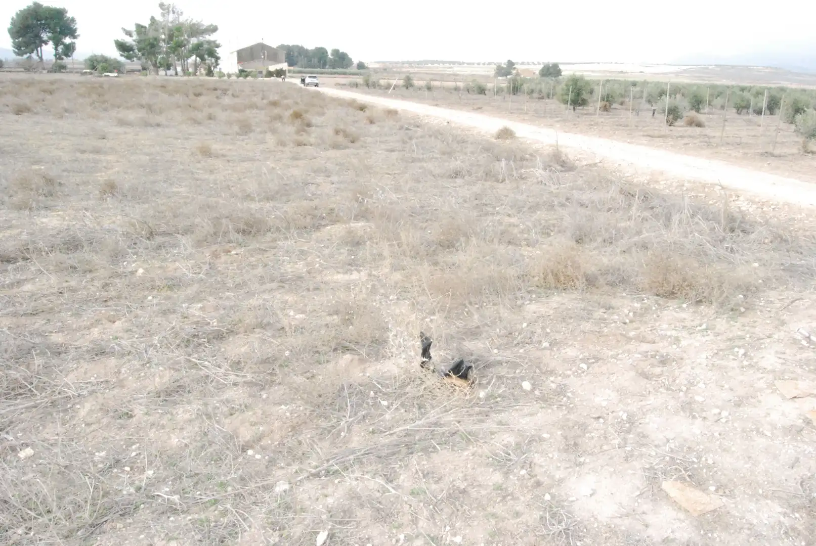 Rural land for sale in El Carril - Paseo de Chapi, imagen 4