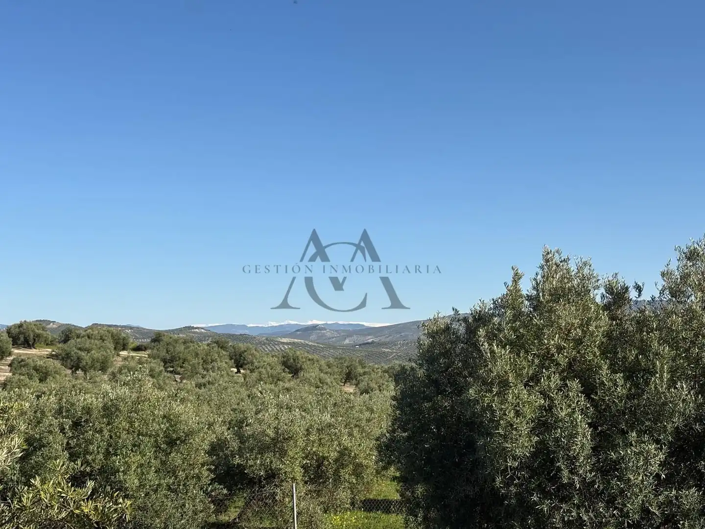 House for sale in Baena, imagen 21