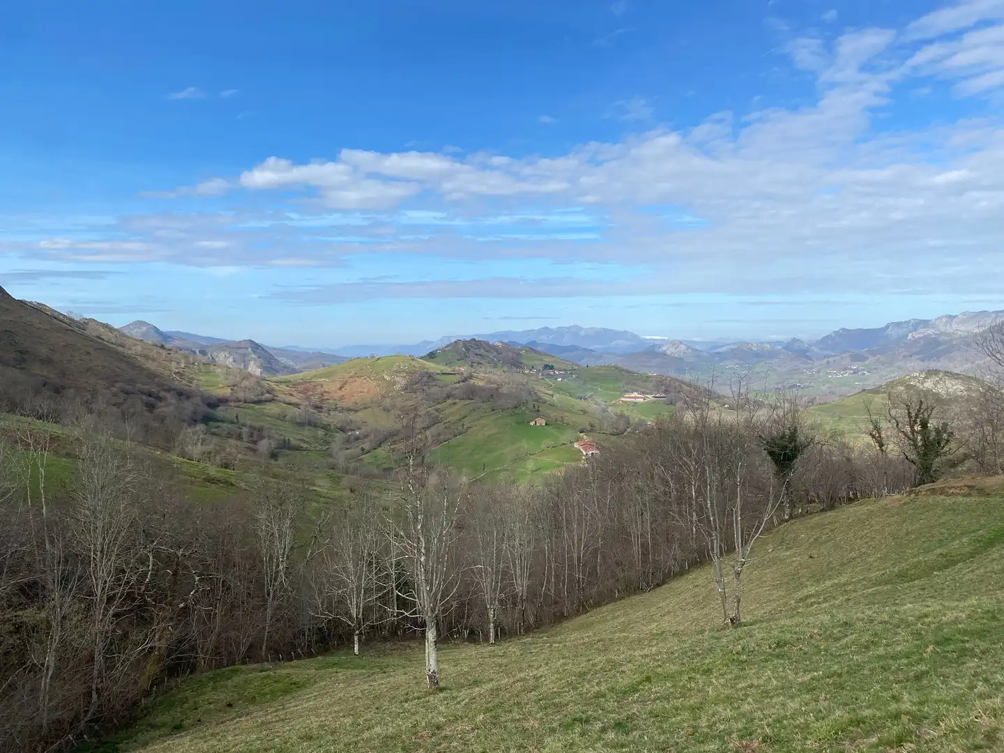 Rural land for sale in Onís, imagen 22