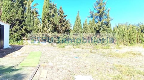 Foto 4 de Finca rústica en venda a Plaça Poligono 14, Montroi / Montroy, Valencia