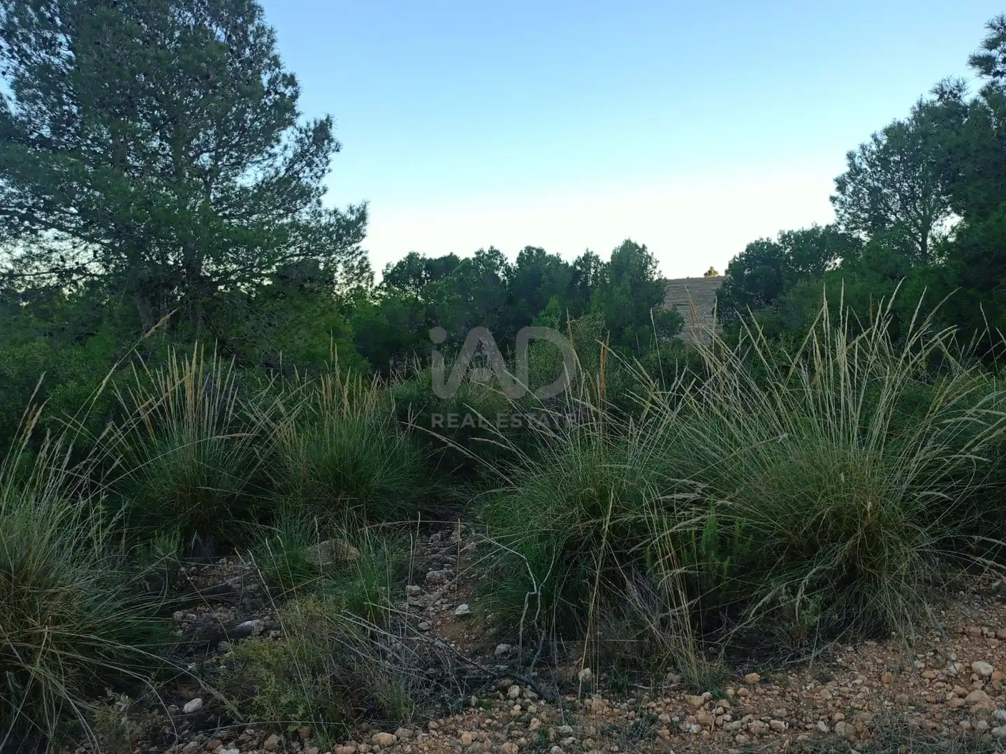 Terreno en venta en Lorca