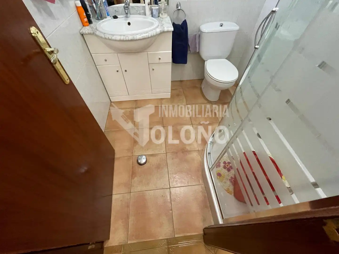 Bany de Casa o xalet en venda en Rodezno amb Calefacció, Jardí privat i Parquet