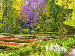 Gewerbefläche zum Verkauf in Paseo de la Reina Cristina, imagen 30