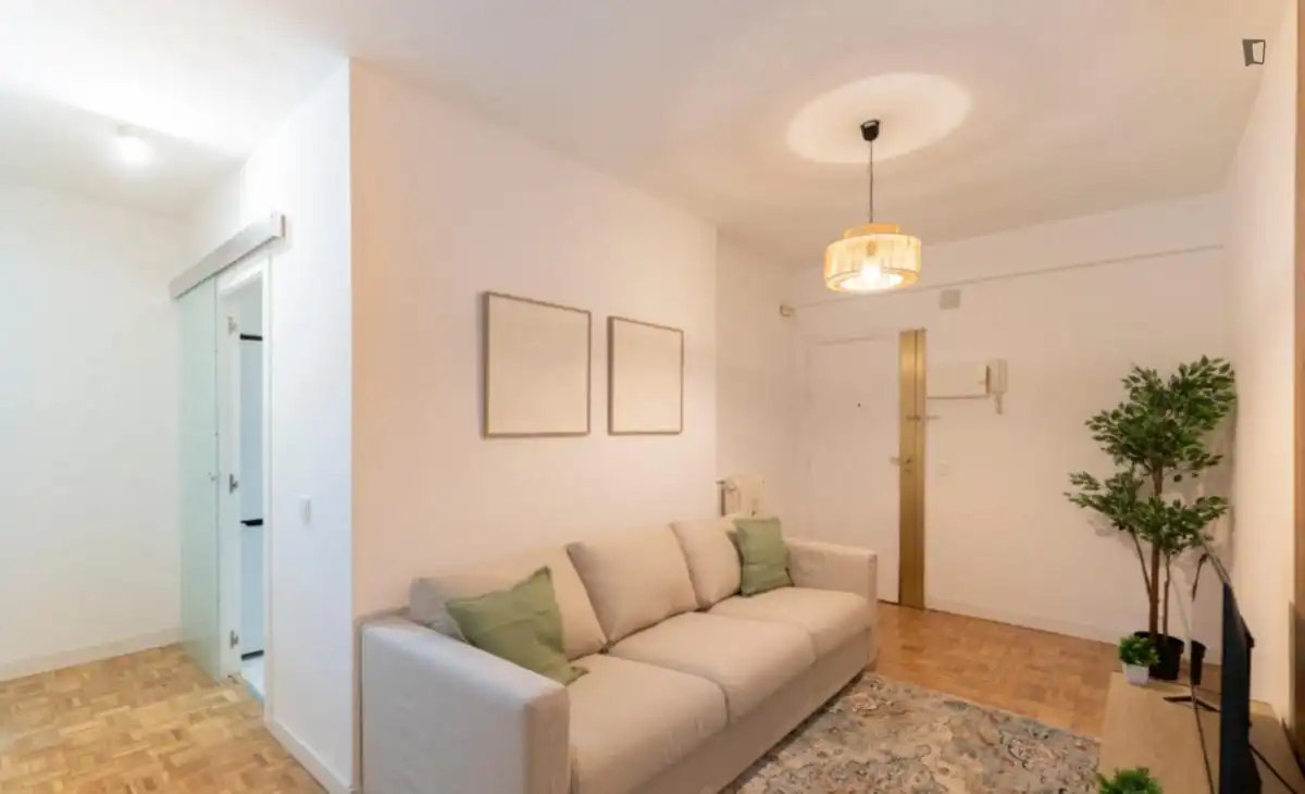 Living room of Apartments for share in Madrid  with Furnished, Oven and Washing machine