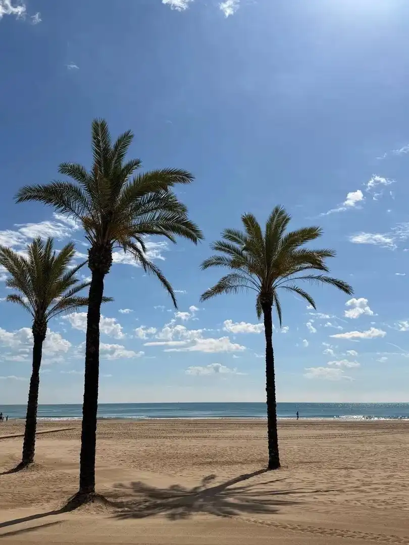 Wohnung zum Verkauf in Calle CABAÑAL, Sant Antoni