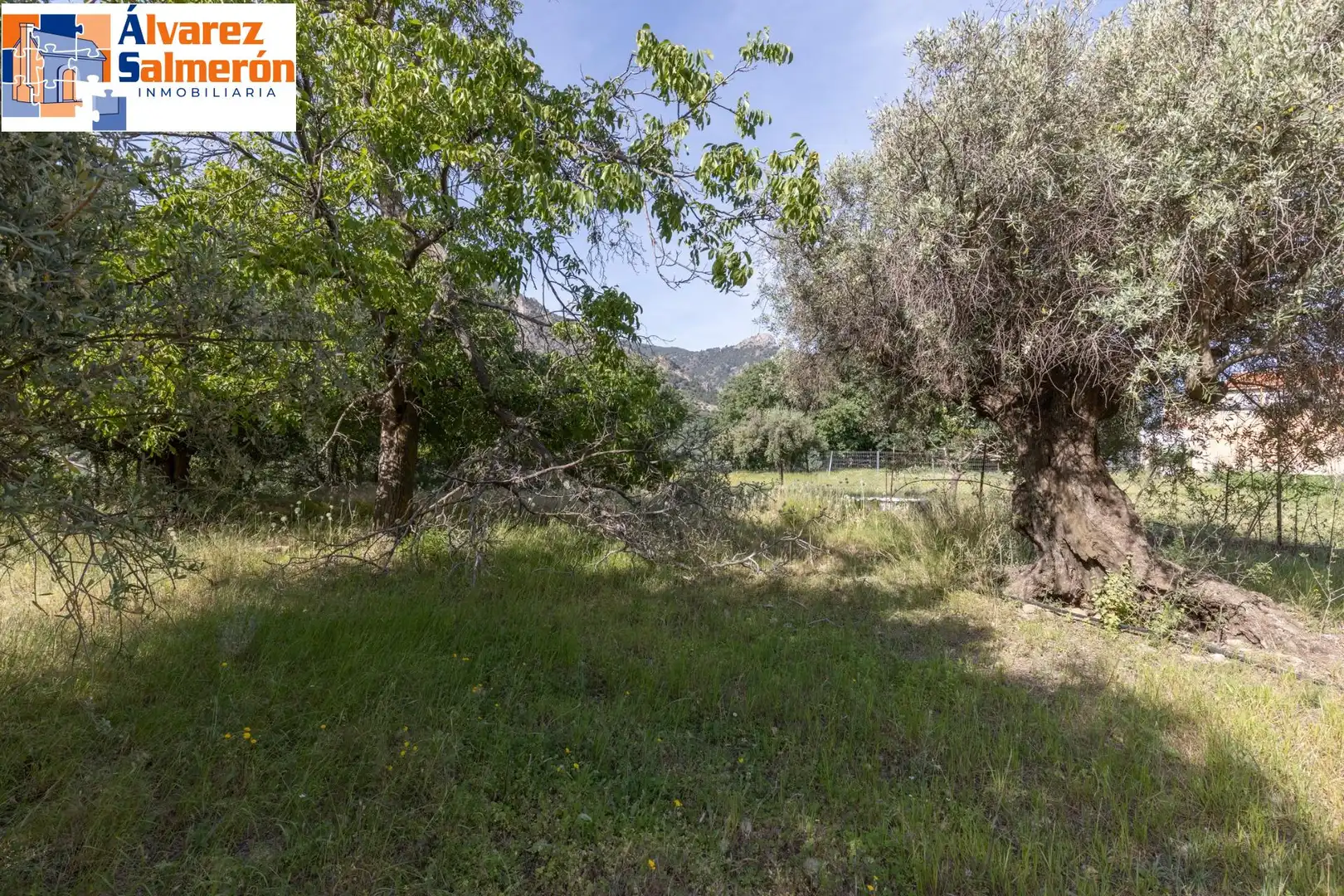 Lands and plots for sale in Carretera de Maitena, imagen 12