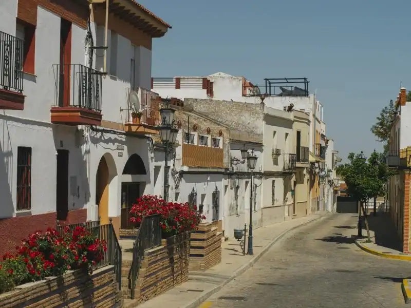 Maison avec piscine à vendre à Palomares del Río, imagen 4