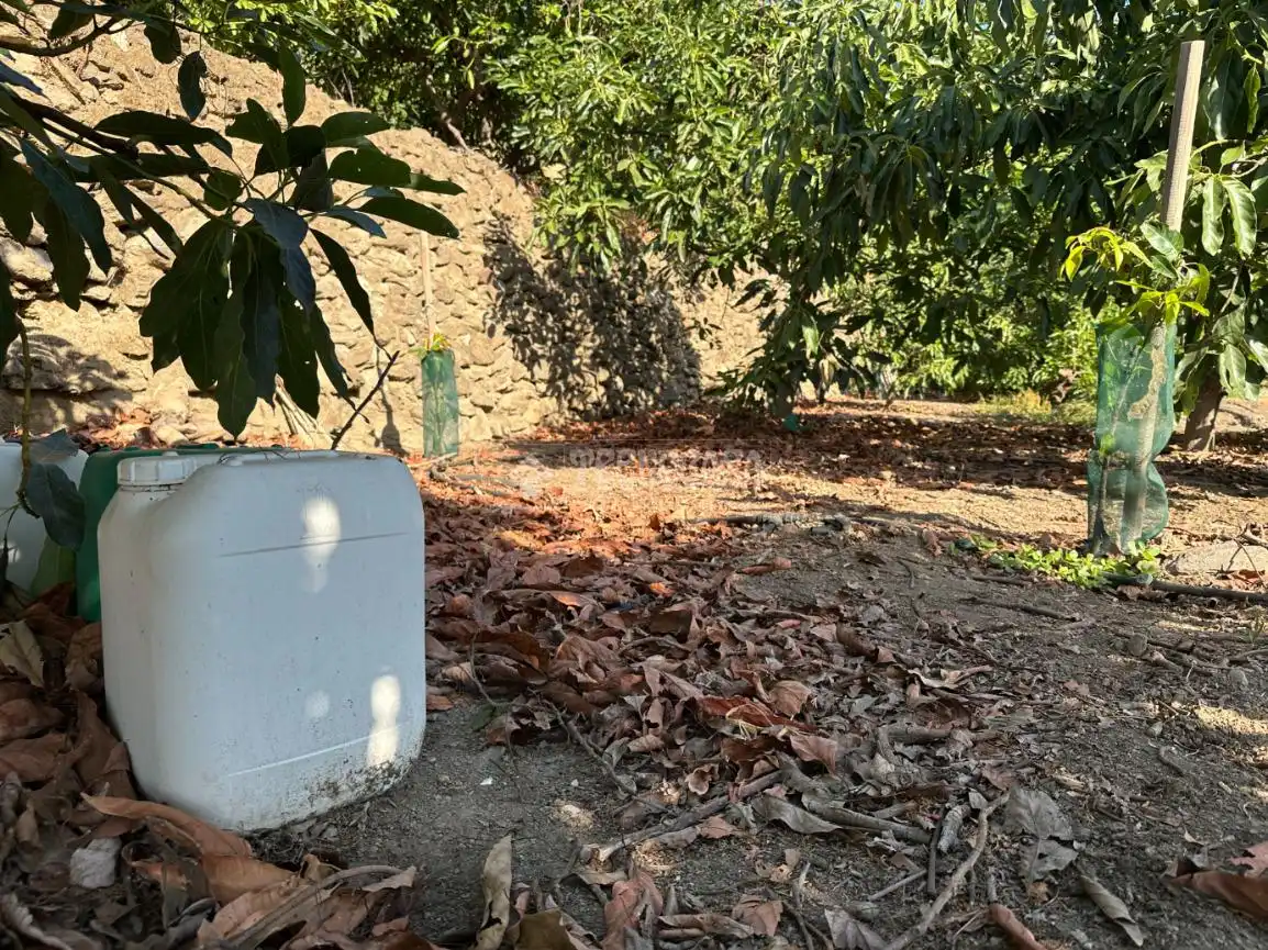 Terreni e lotti in vendita a Torrox Pueblo