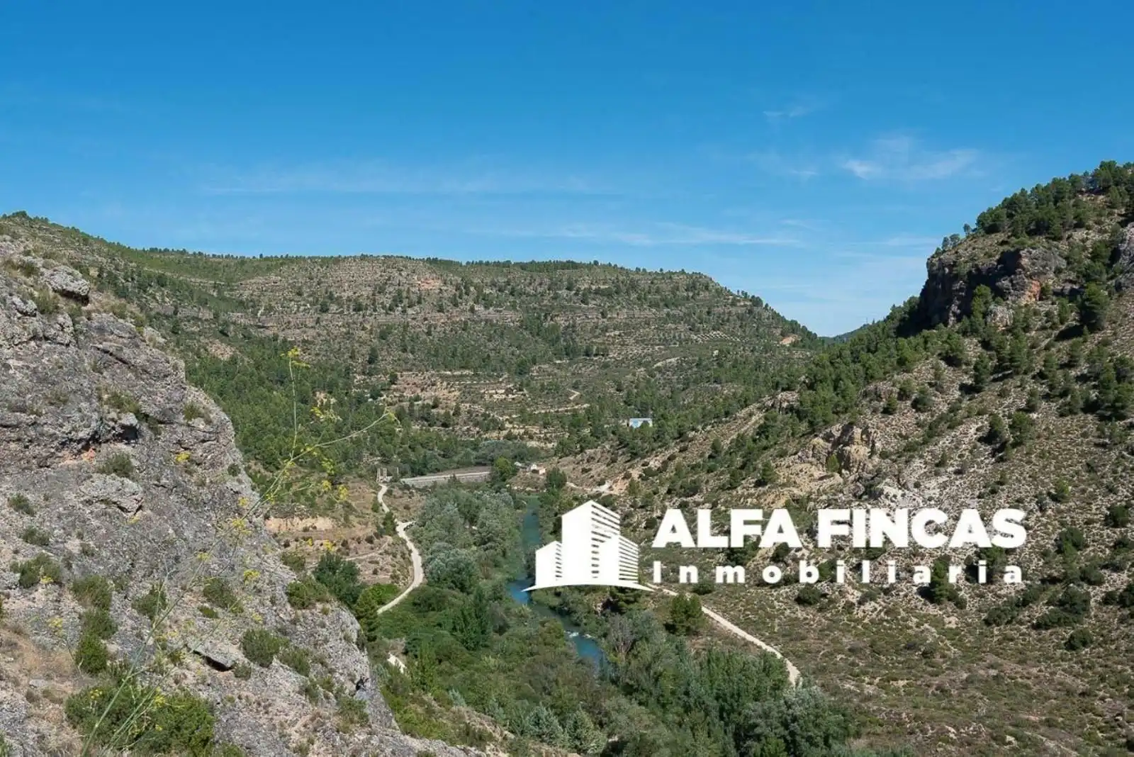 Land for sale in Enguídanos