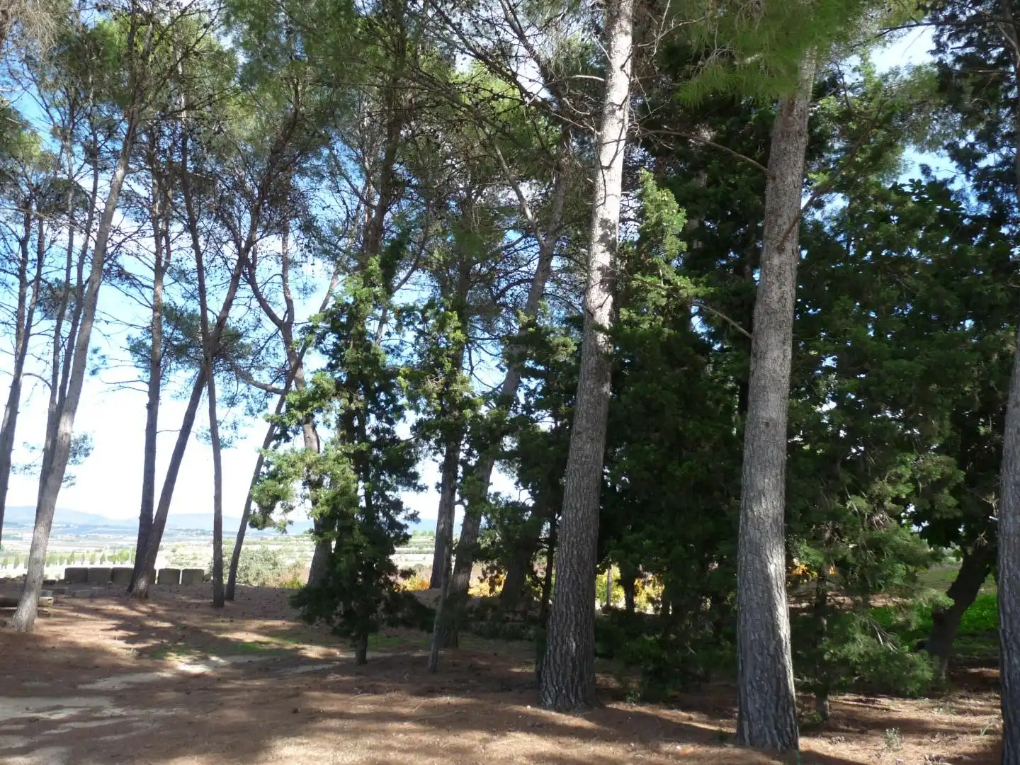 Country house zum Verkauf in Albaida mit Privatgarten und Abstellraum