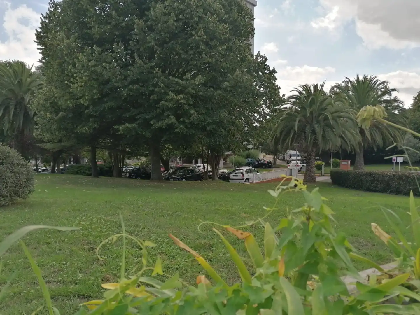 Wohnung mit Garten zum Verkauf in Avenida Valdecilla 37, imagen 3