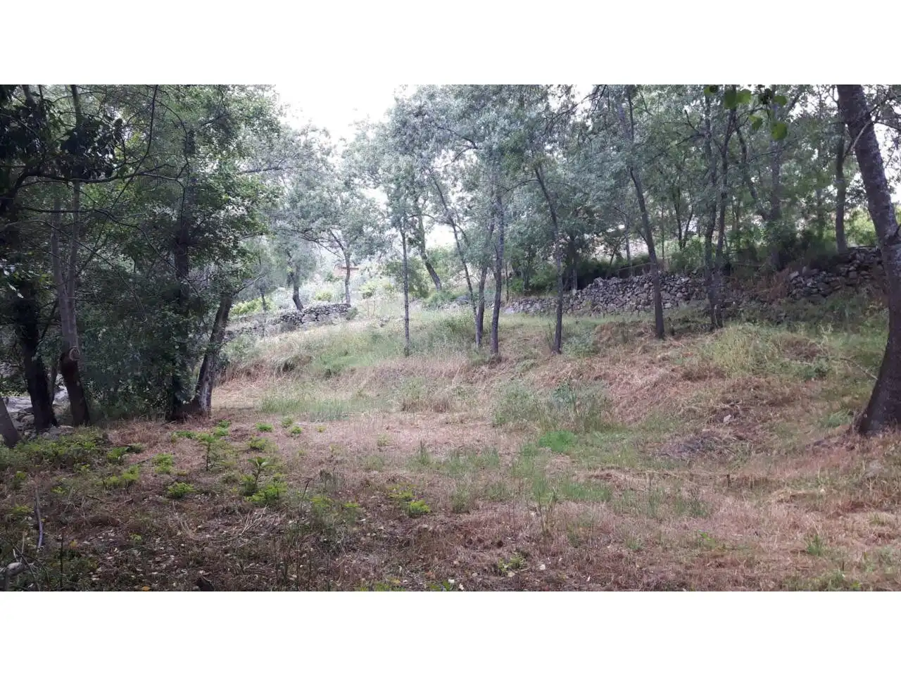 Chalet en venta en El Torno, imagen 22
