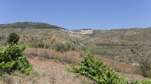 Photo 3 of Land for sale in Calle Antonio Manzano, 19, Murtas, Granada