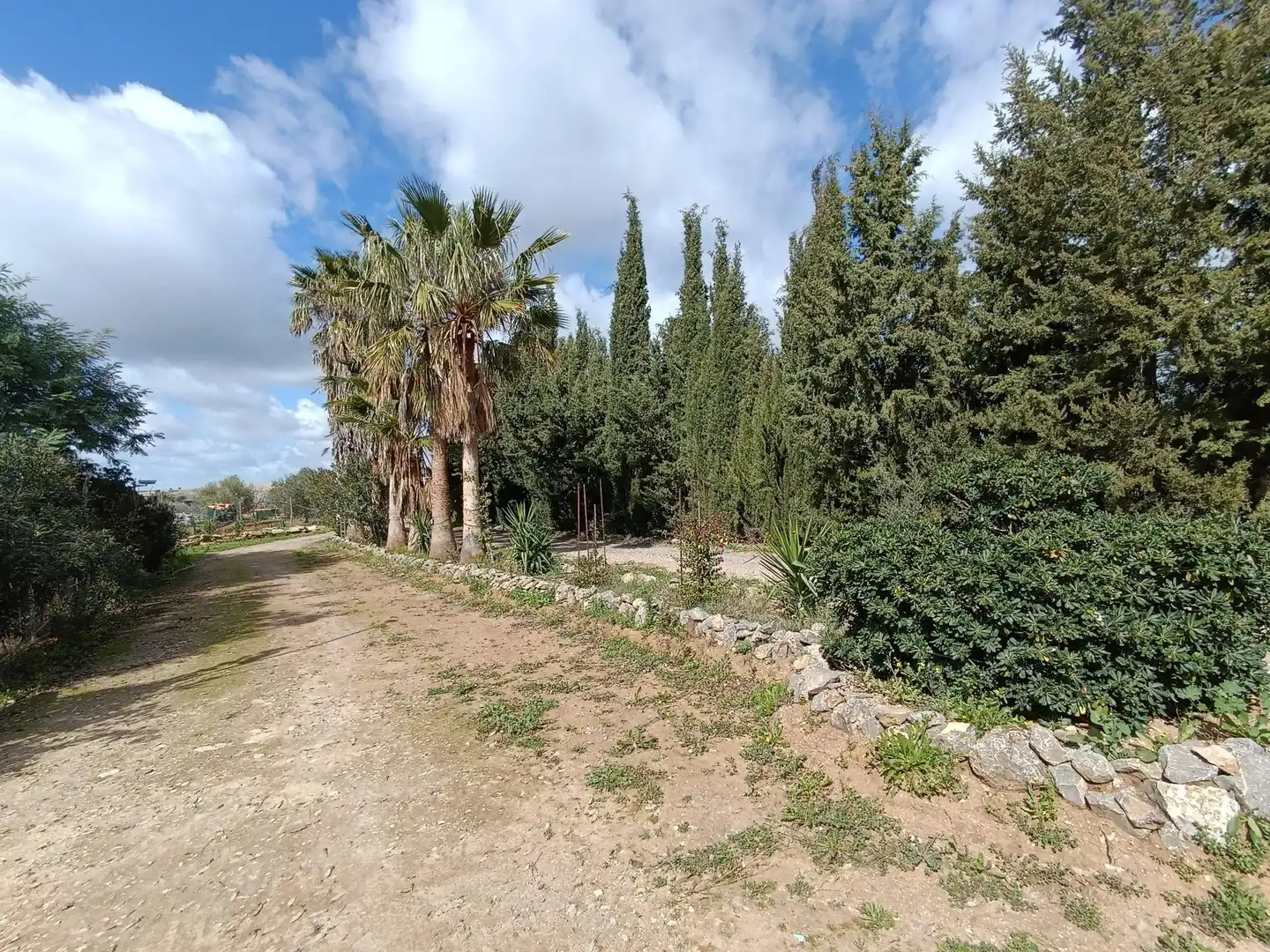 Casa rústica amb piscina en venda a Villamartín, imagen 35