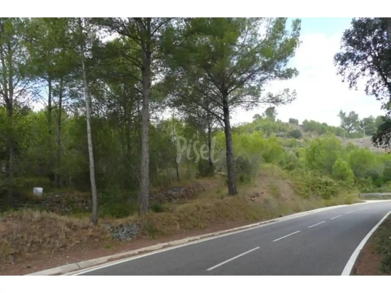 Terreno rustico in vendita a Poligono Polígono 4, imagen 2