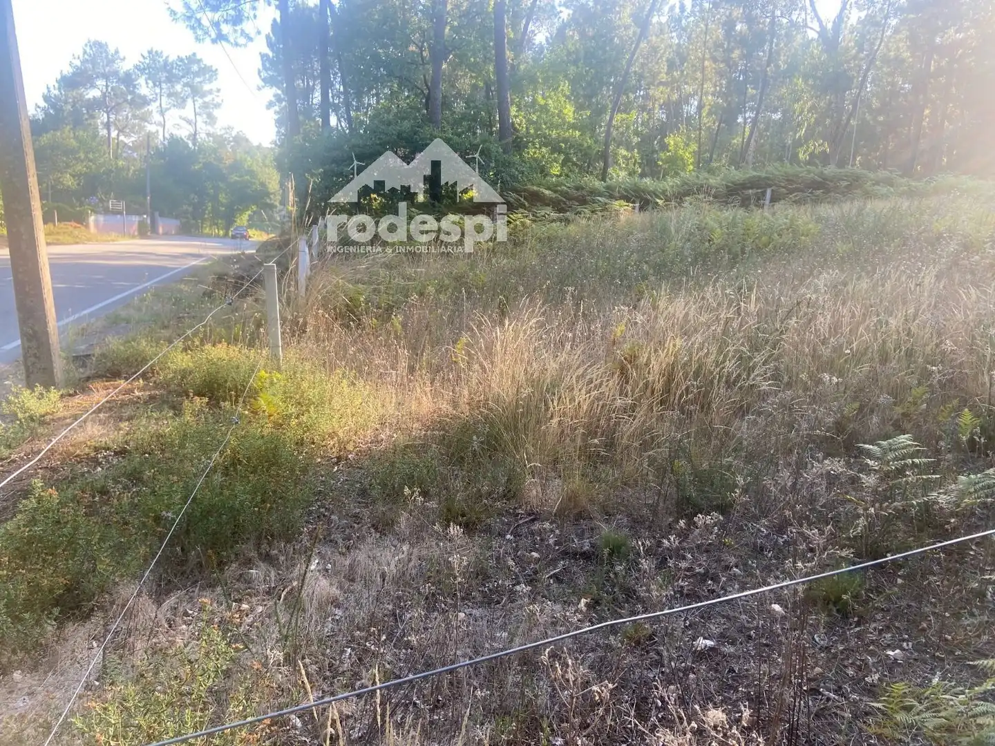 Terreny rústic en venda a Salvaterra de Miño, imagen 6