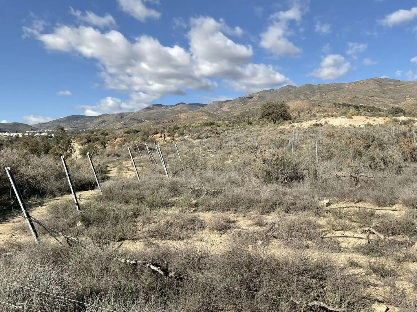 Land for sale in Padules