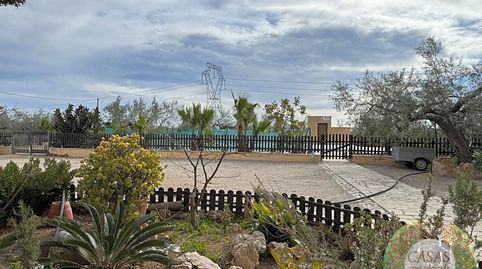 GRAN FINCA RÚSTICA DE OLIVOS, imatge 5