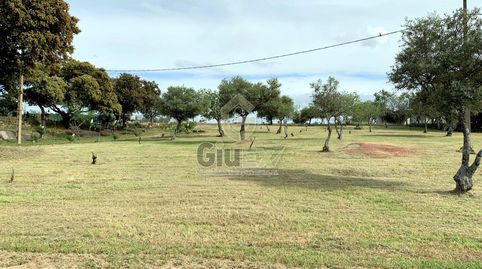 Foto 3 de Casa o xalet en venda a Arroyo de la Luz, Cáceres