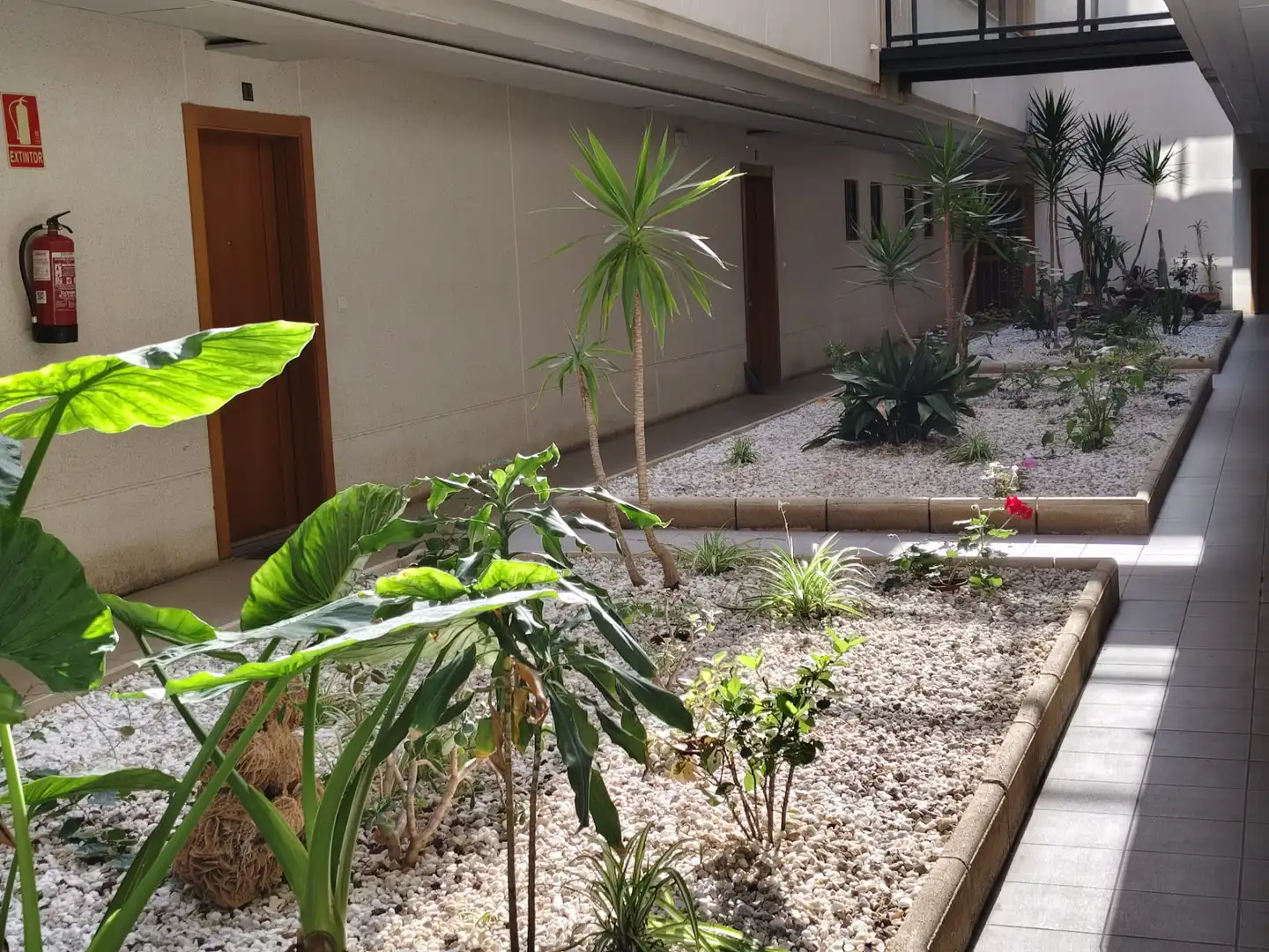Piso con piscina en venta en Santa Pola ciudad, imagen 93