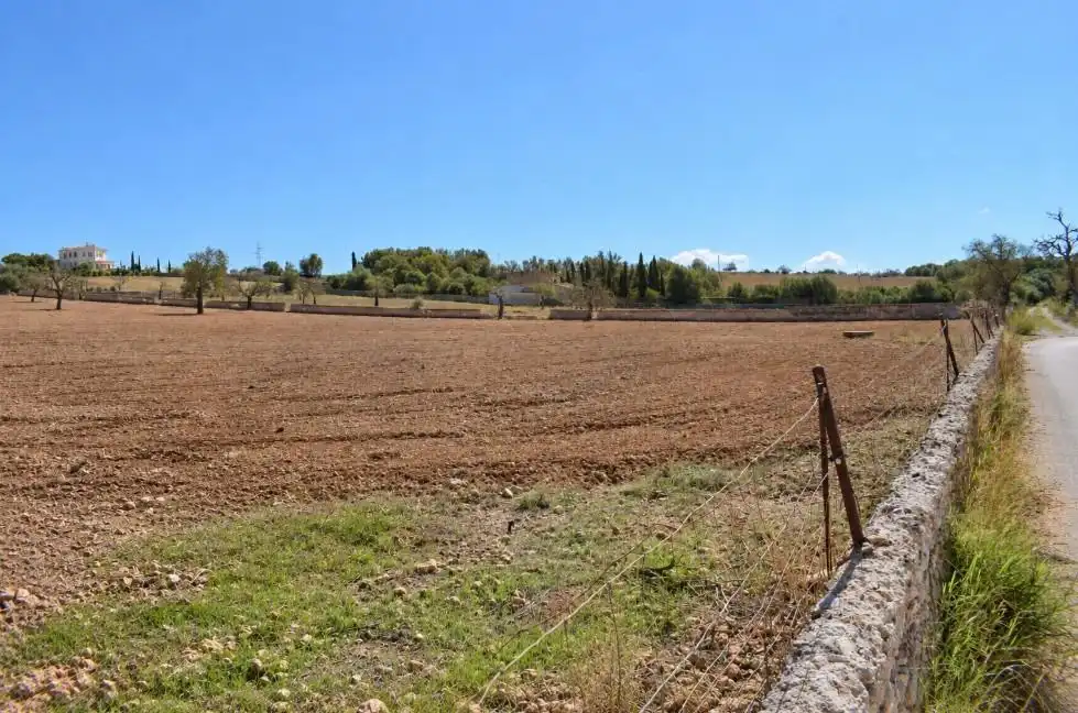 Terreny residencial en venda a Ariany, imagen 4