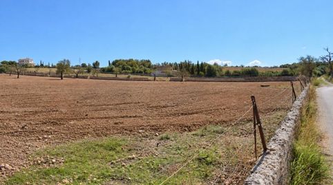 Photo 4 of Country homes for sale in Ariany, Illes Balears
