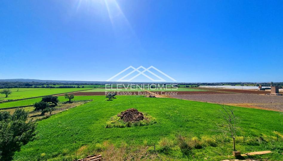 Photo 1 of Land for sale in Sa Casa Blanca, Illes Balears