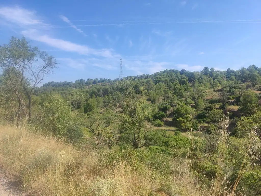 Rural land for sale in Gandesa, imagen 20