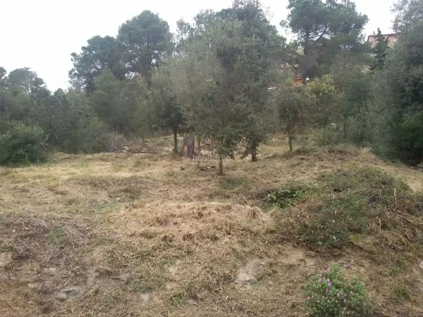Wohnbaugrundstück zum Verkauf in Carrer Prat de Llobregat 59, imagen 7