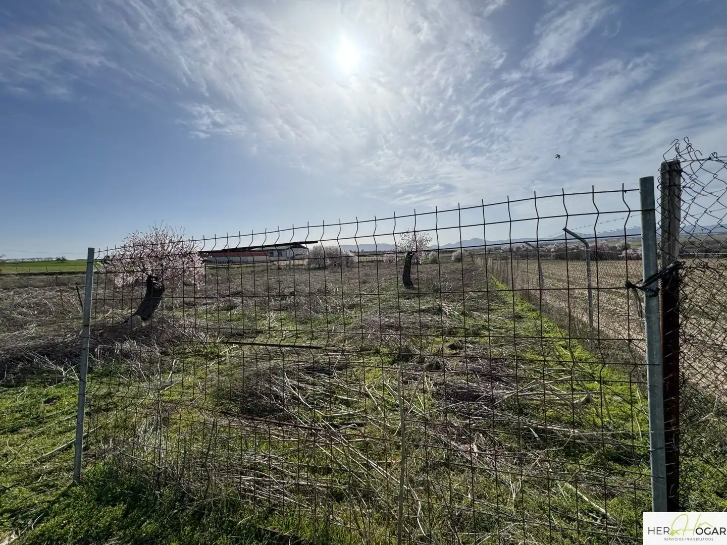 Casa o chalet en venta en Menasalbas