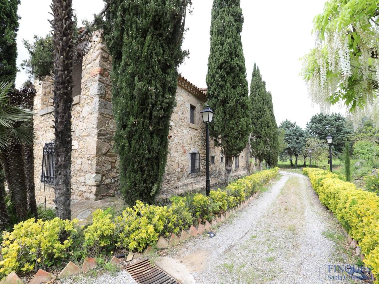 Finca rústica en venta en Cabanyes - Mas Ambrós - Mas Pallí