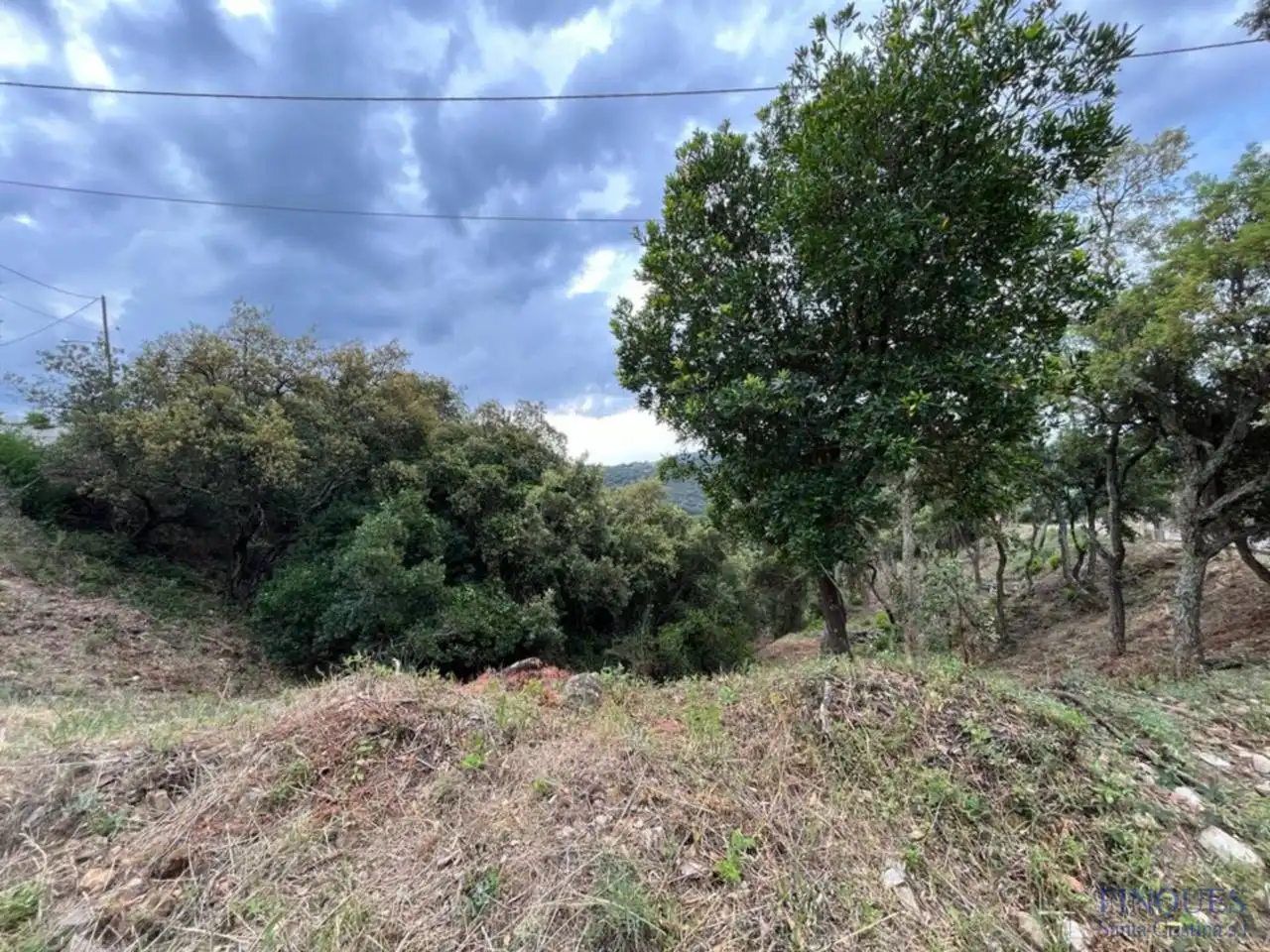 Residential land for sale in Sant Miquel d´Aro 1, imagen 8
